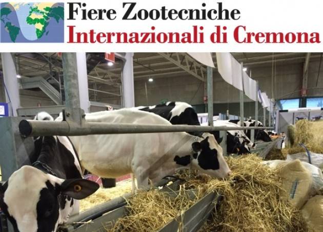 sito italiano per incontrare
