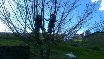 Bambini acrobati  e disobbedienti alla scalata del cielo