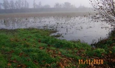 Coldiretti Cremona: Terreni sott’acqua a Crotta d’Adda a causa del Canale Navigabile.