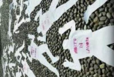 I morti sul lavoro nel 2010 sono aumentati