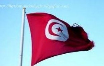 Tunisia.Brutalità della polizia