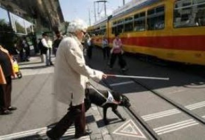 Cane sei il benvenuto.