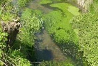 Terra di confine e ....di fontanili