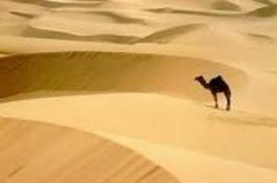 Libia.Mobilitazione a Torino