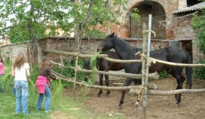 Fattorie didattiche aperte