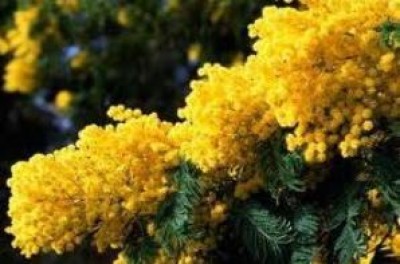 Un 8 marzo indimenticabile