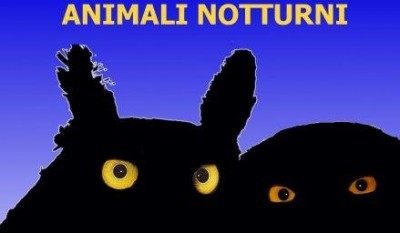 Animali Notturni