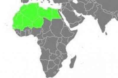 Analisi Nord Africa, le rivolte guidate dai giovani   