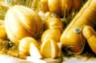 Provolone Valpadana, il rilancio 2011 parte dalle sinergie