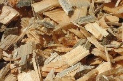 Centrale di biomasse legnose, interrogazione del Pd