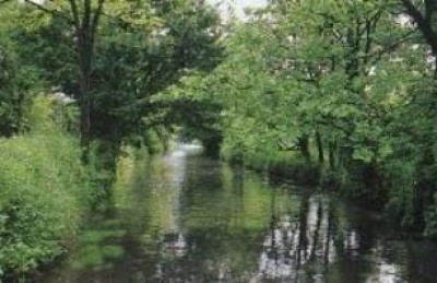 Pavia.Il futuro dei parchi