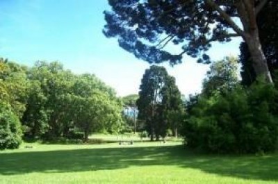 Parchi ALLONI (PD): no al centralismo regionale