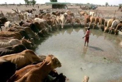 Nord Sudan / Khartoum occupa il Kordofan meridionale