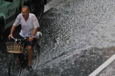 Nubifragio Pavia. Piffari: Interventi rapidi 