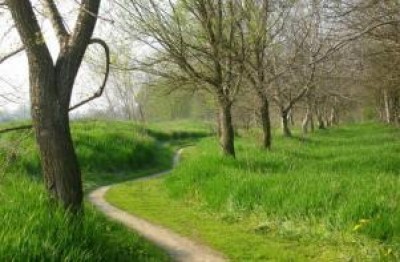 Cremona.Strada SUD:riflettiamoci