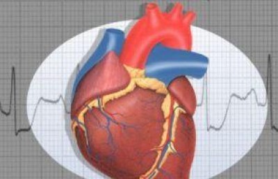 Giornata prevenzione cardiovascolare