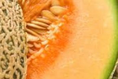 Melone mantovano, una nuova IGP Lombarda