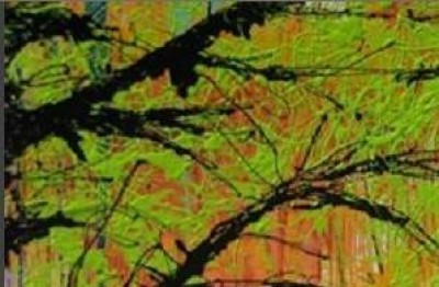 Luino.Luci e ombre della città