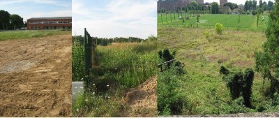 La Città dello sport, tante promesse e pochi risultati