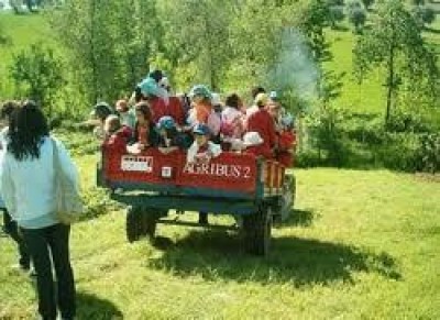 Dalla piscina di mais alla gita in miniera