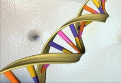 Quale futuro per la Ricerca sulla Sla? 