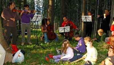 Il Bosco dei Violini