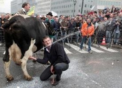 Truffa sulle quote latte, condanne a Milano