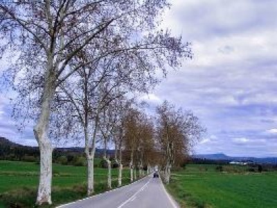 MOZIONE per la sorveglianza e tutela del territorio  di Clara Rita Milesi