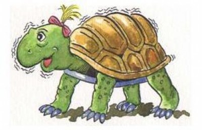 Sondaggio per conoscere meglio il 