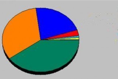 A fine novembre 77.684 contatti giornalieri. Un record per il nostro sito.