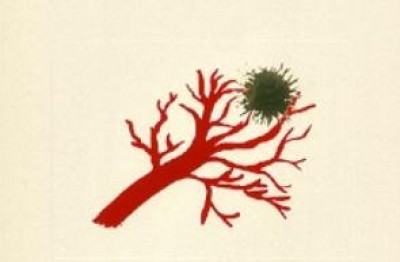 Il ramo e la stella di M. Negri