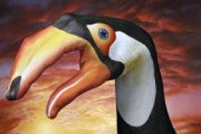 MANIMALI opere di Guido Daniele