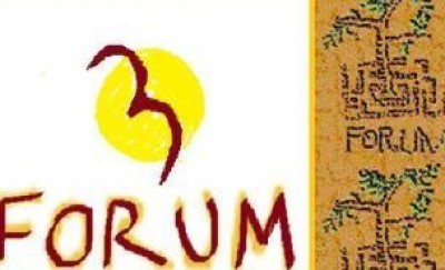 Attività del Forum terzo settore Cremonese