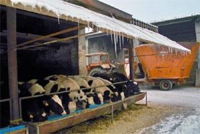 Nei campi la prima linea dell’assedio del gelo