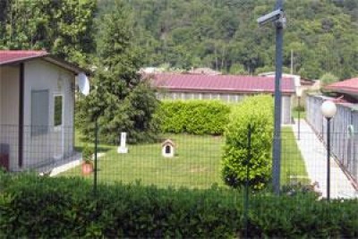 Luino: rifugio del cane