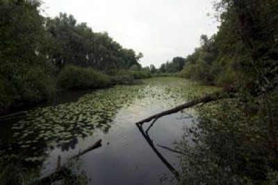 Parco Adda Sud, il 4 marzo l'operazione