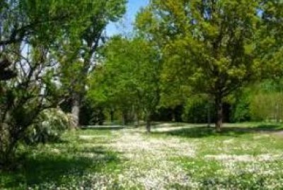 Quartiere Zaist, arriva la barriera anti rumore
