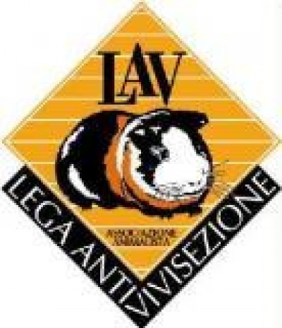 Cremona, firme e uova pasquali contro la vivisezione
