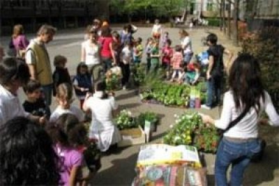 Scuola Bacone, Bimbi ‘giardinieri’ cambiano faccia ai cortili