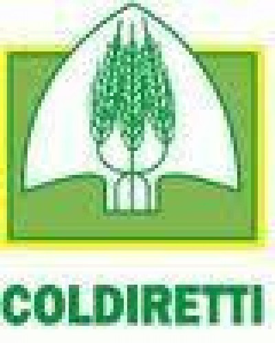 Coldiretti Cremona: “Prezzo del latte,  dall’industria imposizioni inaccettabili” 