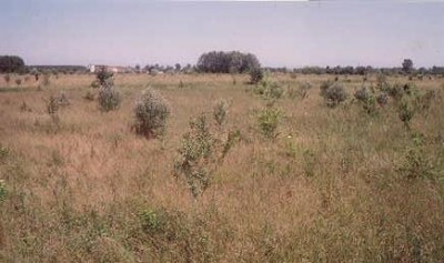 Vieni a conoscere Filiera Corta corta il 27 maggio a San Savino 