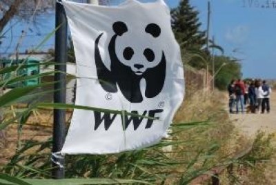 Anche il WWF contrario ai box sotterranei a Pegli