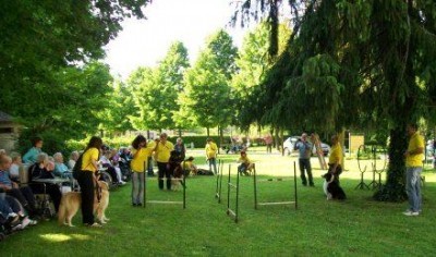 Pet therapy a Cremona Solidale