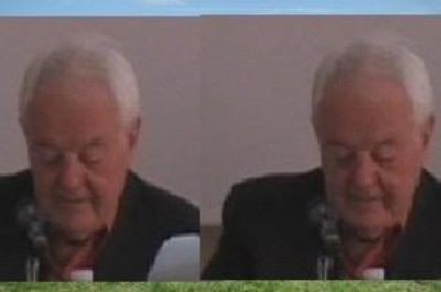 Grillo come Bossi | L. D’Avossa