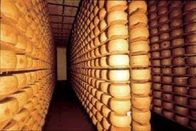 Acquistati 1.500 chili di Parmigiano Reggiano: un aiuto ai terremotati 