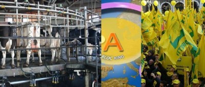 CALDO: COLDIRETTI, DA MUCCHE 100 MLN DI LITRI DI LATTE IN MENO