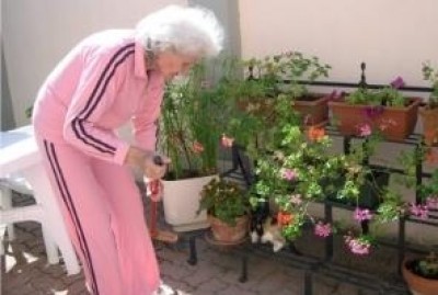 Retta ricovero. Il Consiglio di Stato da ragione alla Fondazione di Sospiro
