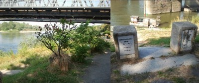 Ma chi deve pulire la riva del Po sotto il ponte di Cremona?