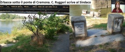 Erbacce sotto il ponte di Cremona. C. Ruggeri scrive al Sindaco