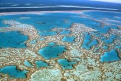 No al porto carbonifero in Australia sulla barriera corallina.Protestiamo